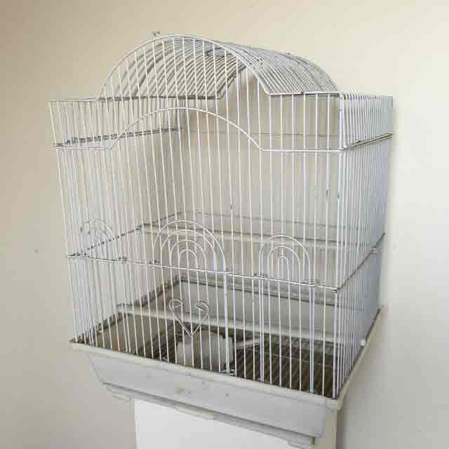 BIRDCAGE, Wire Domestic - White