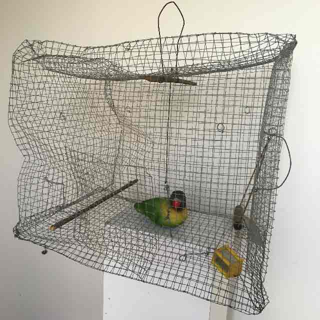 BIRDCAGE, Wire Domestic - Misshapen