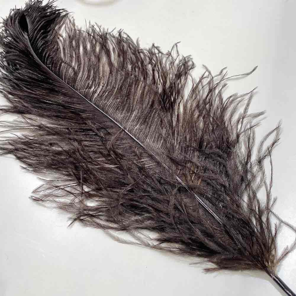 FEATHER, Ostrich - Black 