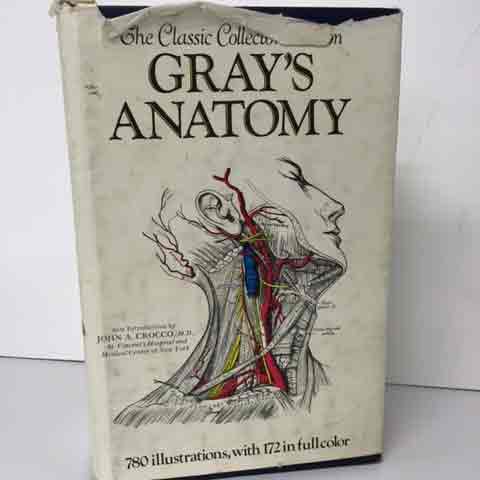 BOOK, Medical - Grays Anatomy Hardcover