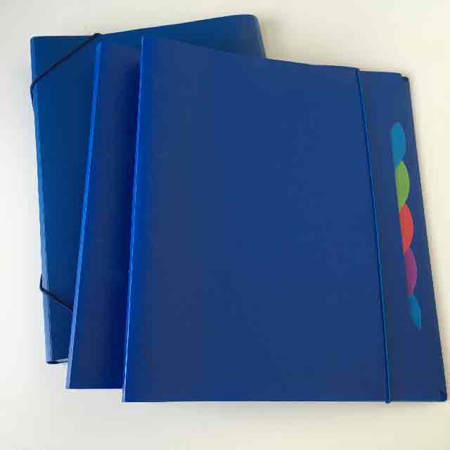 FOLDER, Blue Plastic