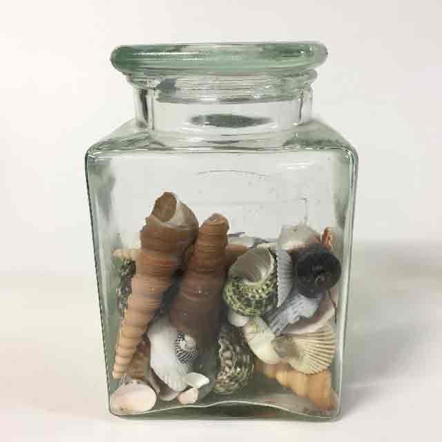 APOTHECARY BOTTLE, Square Glass w Shells