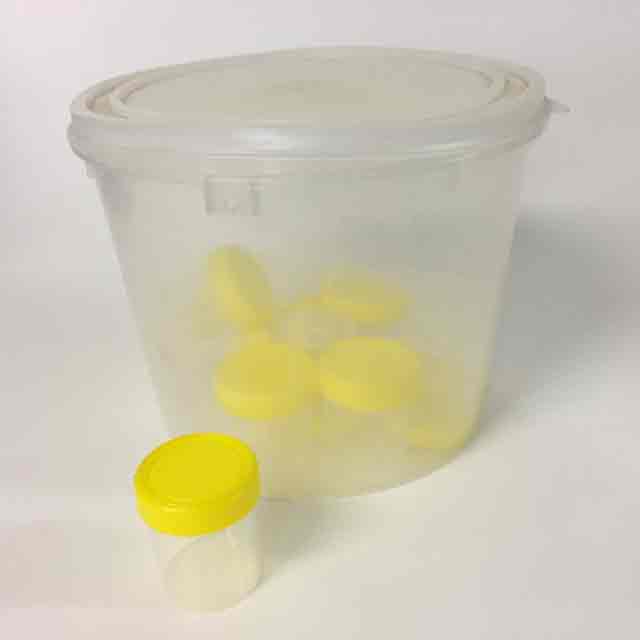 SPECIMEN COLLECTION BUCKET, Clear Plastic