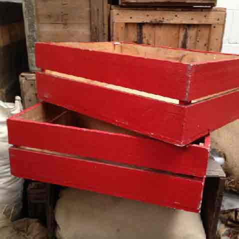 CRATE, Small - Red Shallow